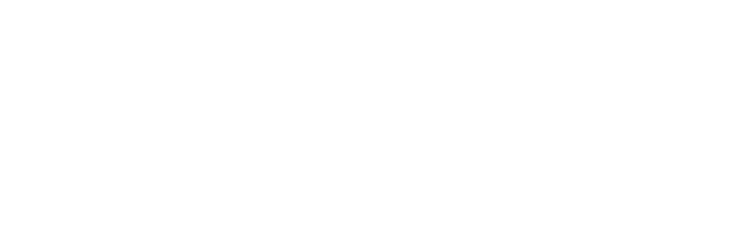 Vyntel LLC
